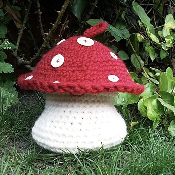 Toadstool Project Pouch
